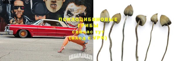 амф Богородск