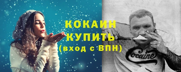 твердый Богданович