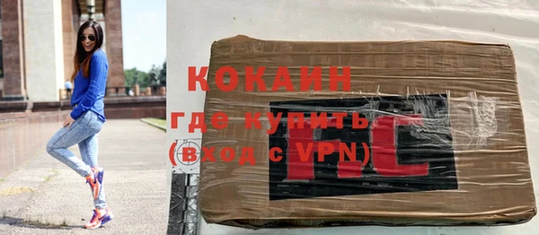 твердый Богданович
