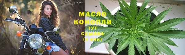твердый Богданович