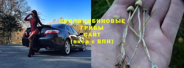 твердый Богданович