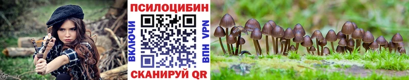 что такое наркотик  Туймазы  kraken рабочий сайт  Псилоцибиновые грибы Magic Shrooms 